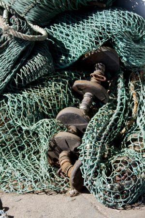 walkworth grange  fish quay 24 sm.jpg